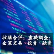 Mergers Acquisitions; Due Diligence; Corporate Transactions, Investment and Finance